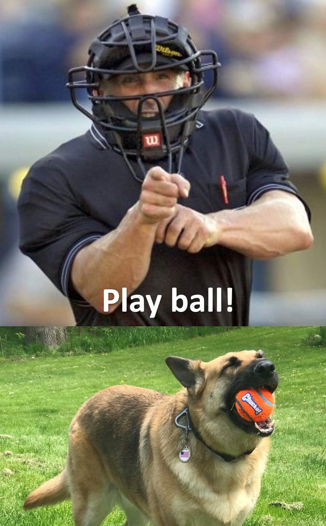 play ball brandy.jpg