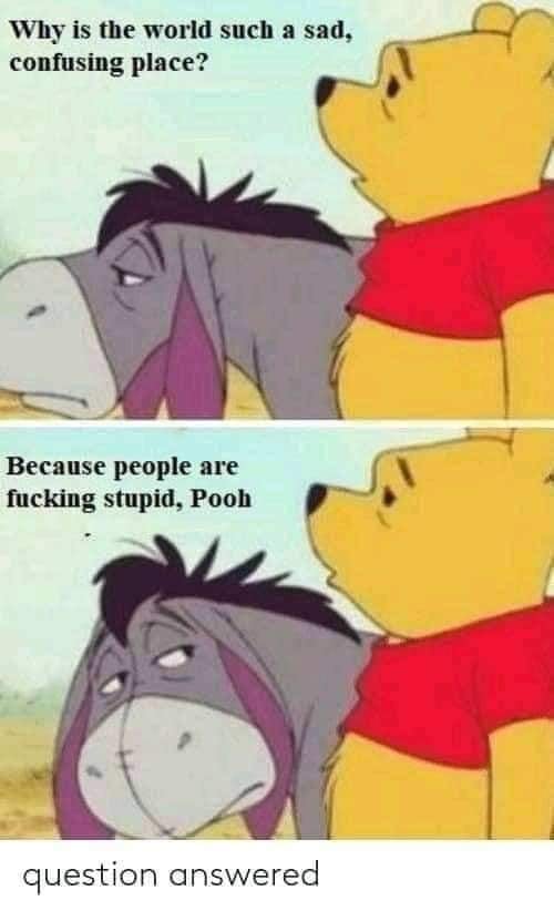 Pooh Bear...peeps are stupid.jpg