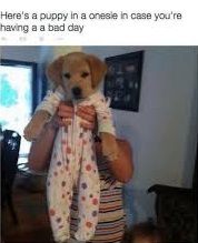 puppy onesie.jpg