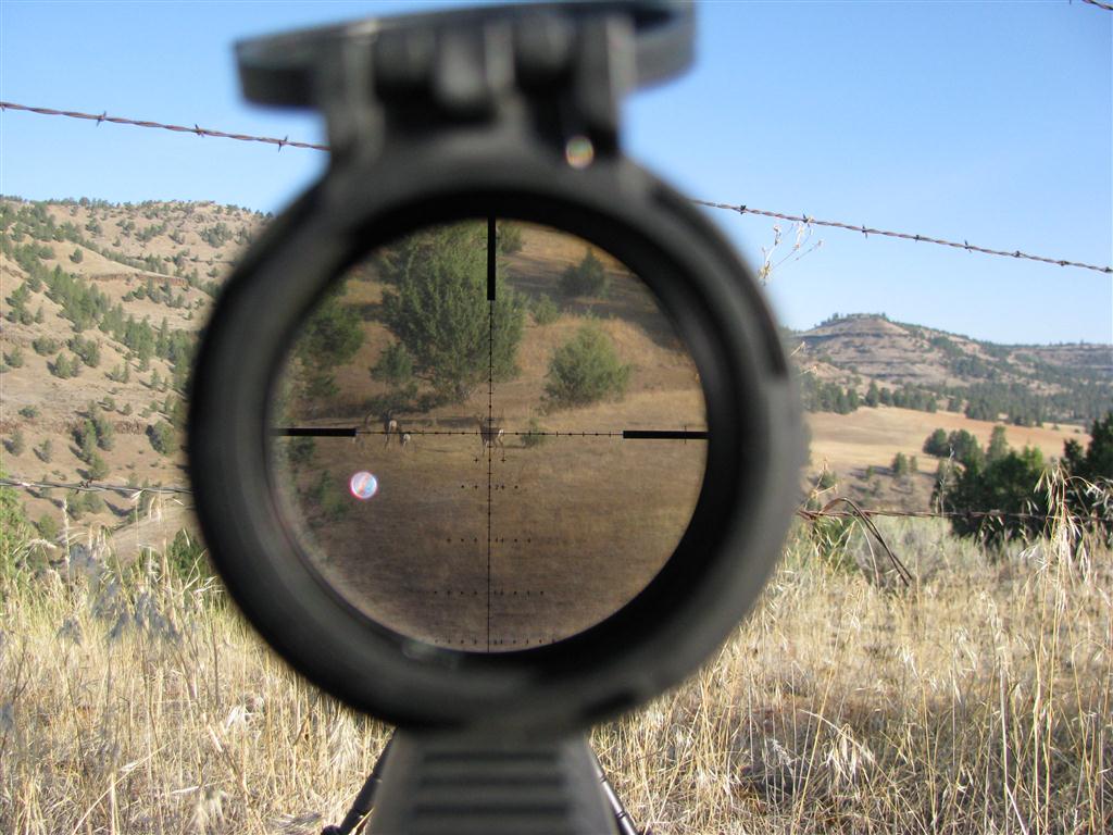 reticle.jpg