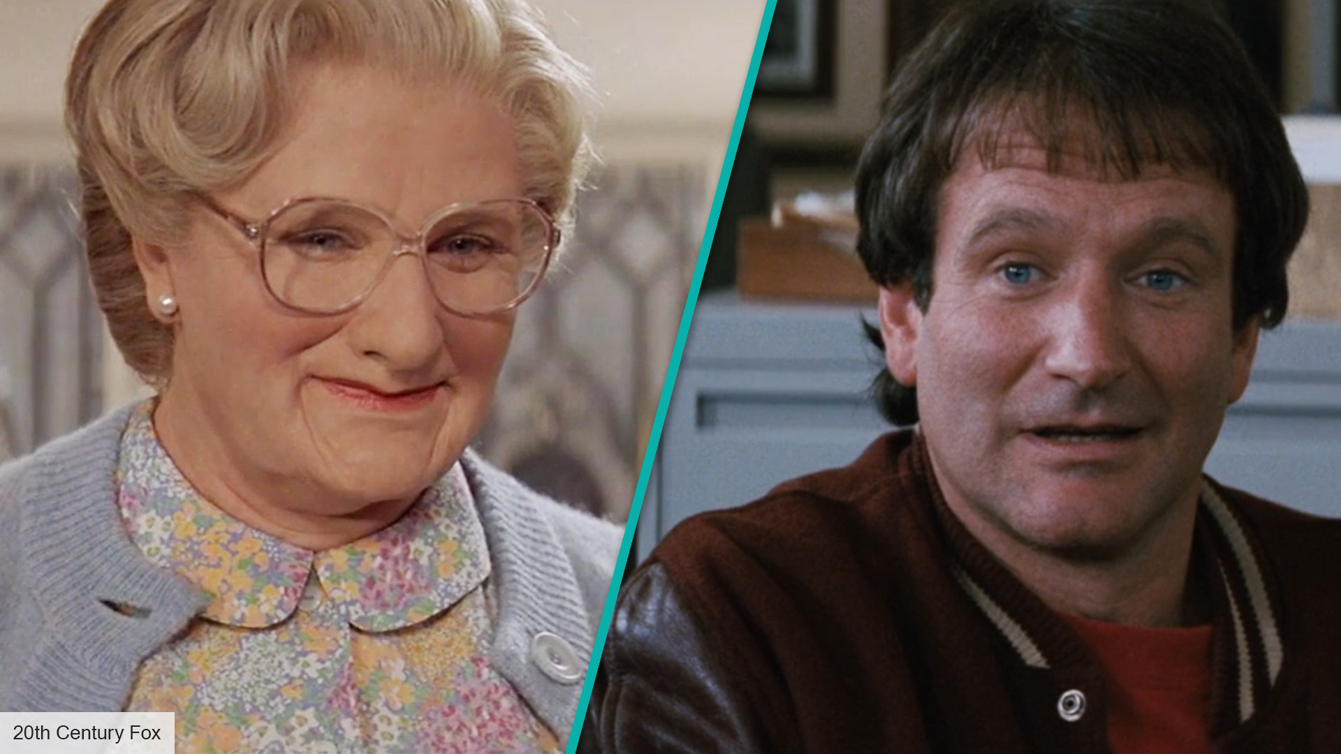 robin doubtfire.jpg