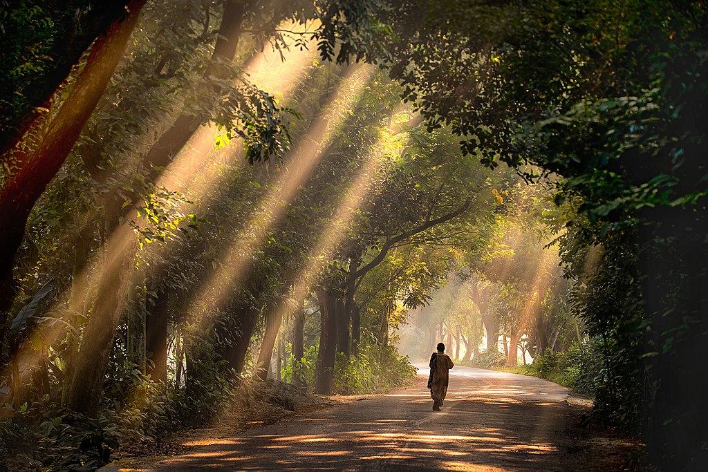 Satchari-National-Park-Habiganj-Sylhet.jpg