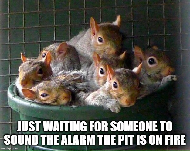 Philosopher Squirrel - Imgflip