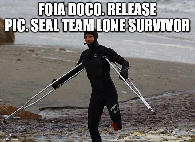 seal team.jpg