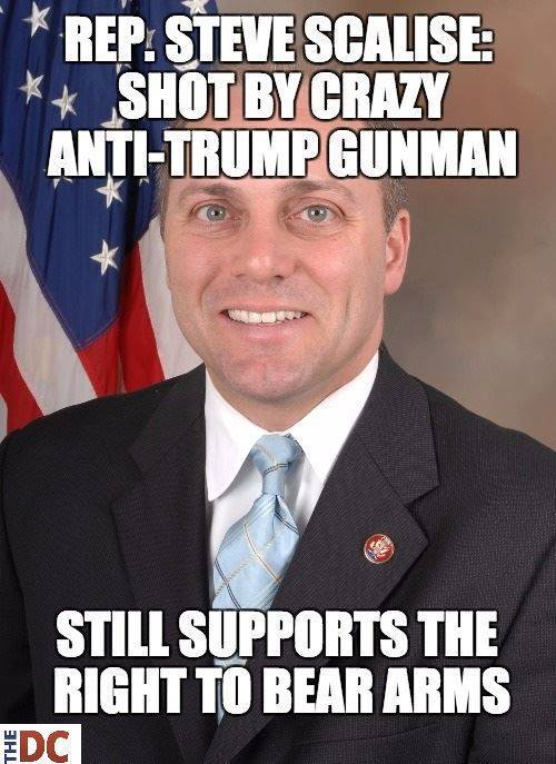 Second-Amendment-Steve-Scalise.jpg