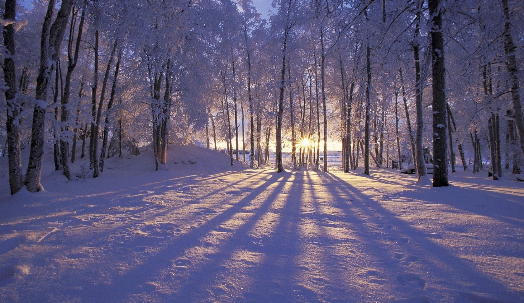 snow sunrise.jpeg