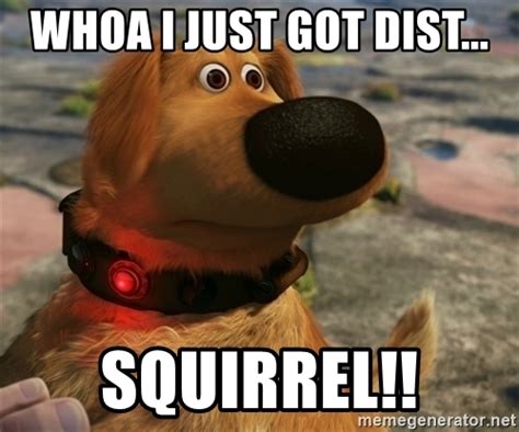 squirrel!!!.jpg