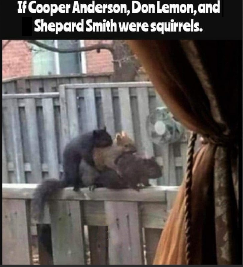 Squirrels.jpg