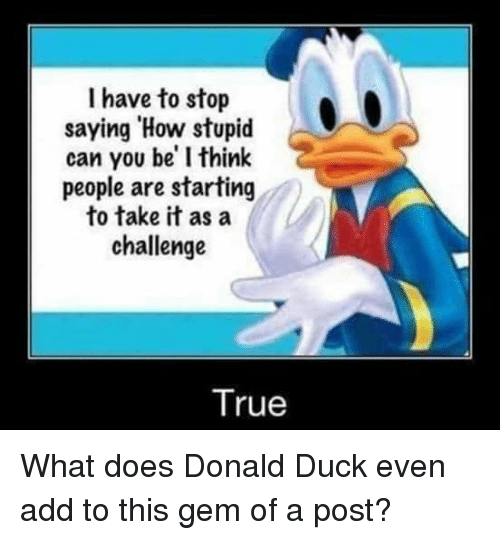 Stupid_duck.png