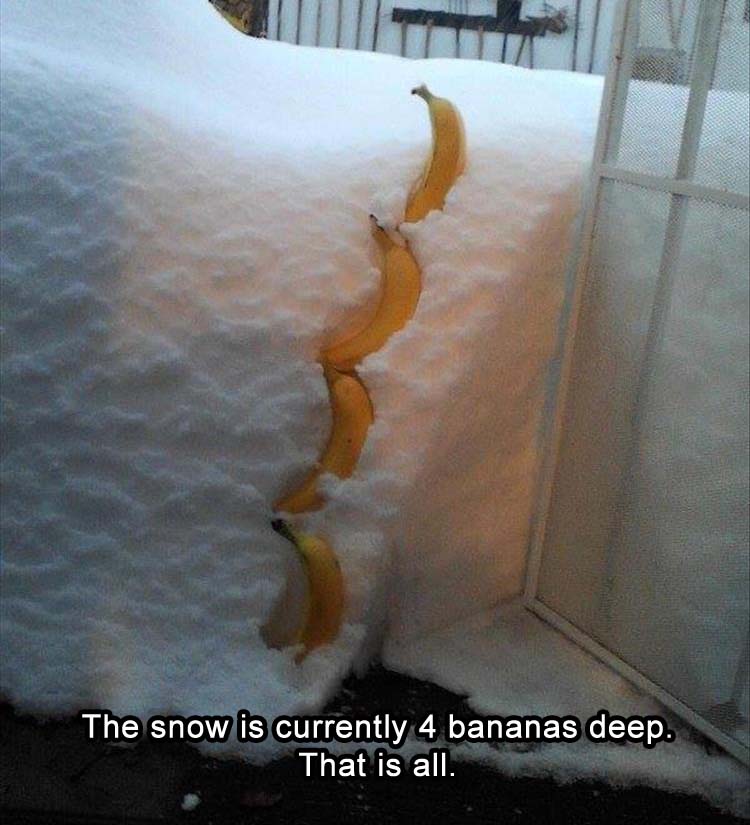 the-snow-is-currently-4-bananas-deep-that-is-all.jpg