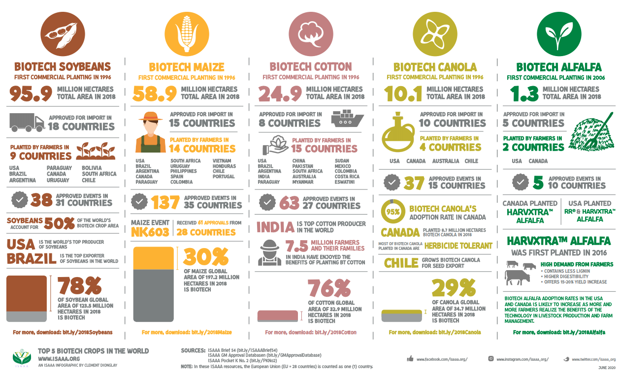 Top 5 Biotech Crops.png