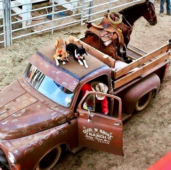 truck horse.jpg