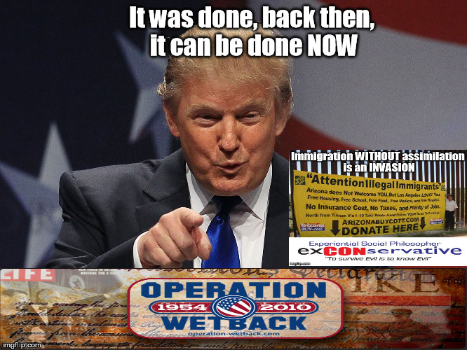 trump immigration operation wetback  invasion.jpg