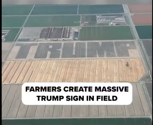 Trumpfarm.png