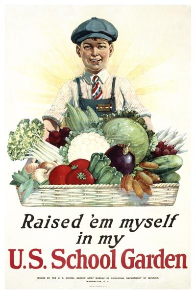 veges raised in school.jpg