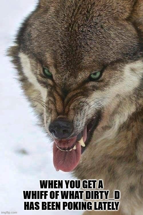 wolf1.jpg