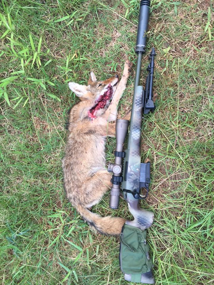 yote tikka.jpg