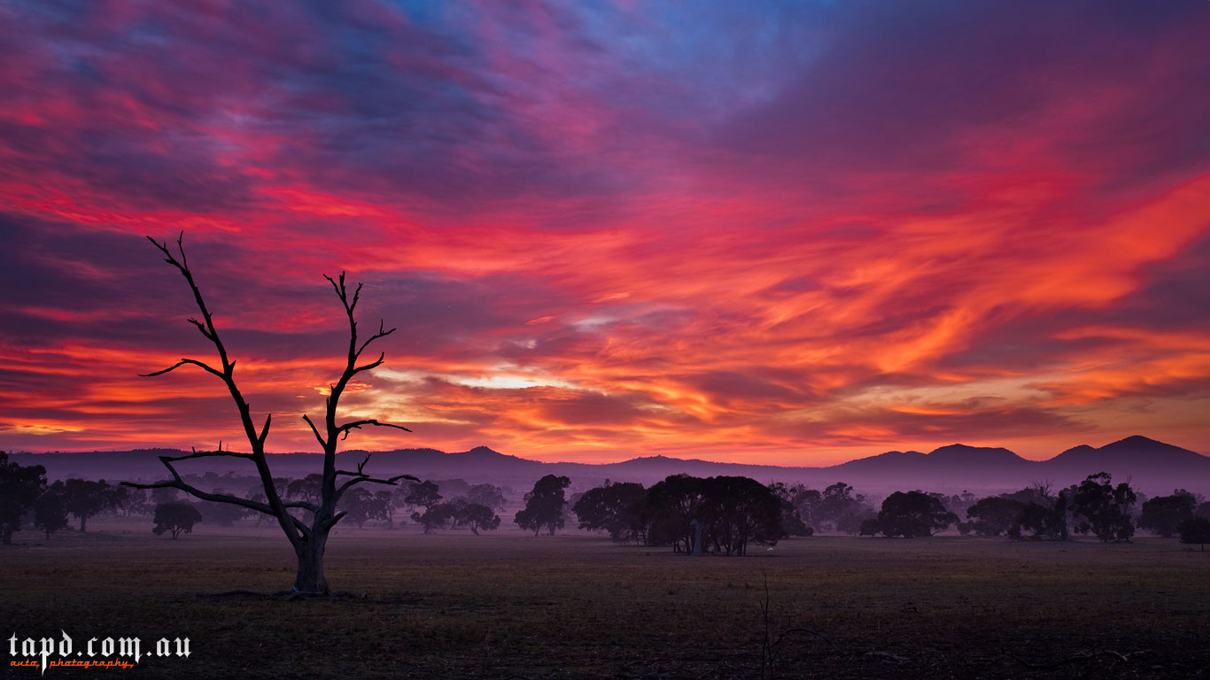 You-Yangs-Sunrise.jpeg