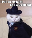 bloodninja_cybersex_trollcat_i_put_on_my_robe_and_wizard_hat.jpg