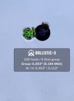 Ballistic-X-Export-2024-03-17 19:18:04.879796.jpg