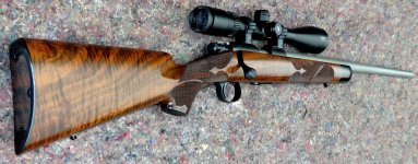 Cooper Arms 57M.jpg