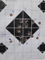 RUAG 7,5x55 mm Swiss 175 grs HPBT Swiss P Target in Schmidt-Rubin-Zielfernrohrkarabiner 84 (f)...jpg