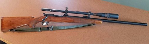 Winchester M70 Carlos Hathcock Sniper Rilfe.Gunboards.jpg