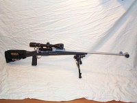 Schmidt-Rubin  K 31-Sniper Daniel Roch.jpg