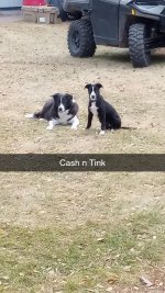 Cash n Tink.jpg