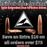 SNOWDAY COUPON Extended.png