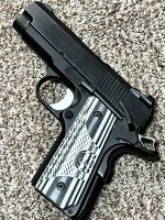 DW ECO 1911 With new grips.jpg