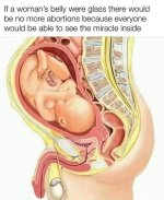 Baby via male.jpg