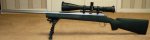 Penrod-IPSS .308 Custom Sniper Rifle...UNDER 1MP...3.jpg