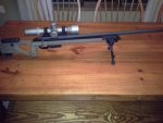 Remington 308P.jpg