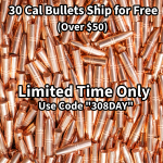 308Day Bullets.png