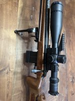 IMG_2096.jpeg