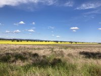 IMG_1525.jpeg