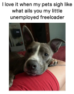1744037616805.png