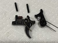 IMG_1111.jpeg