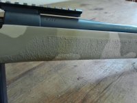 ANMP0095.jpg