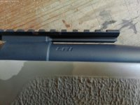 ANMP0102.jpg
