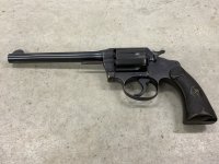 colt pol pos.jpg