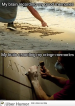 1745660887840.png