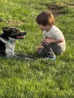IMG_7532.jpeg