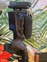 IMG_3043.jpeg