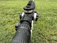 IMG_9644.jpeg