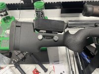 IMG_5589.jpeg