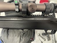 IMG_5597.jpeg