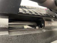 IMG_5583.jpeg
