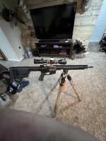 IMG_1491.jpeg